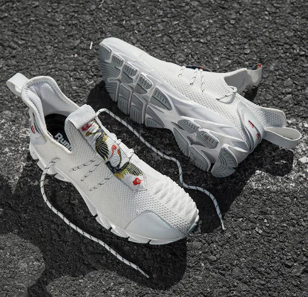 Men's Casual Flyknit Chameleon Sports Shoes - Dakdouksson