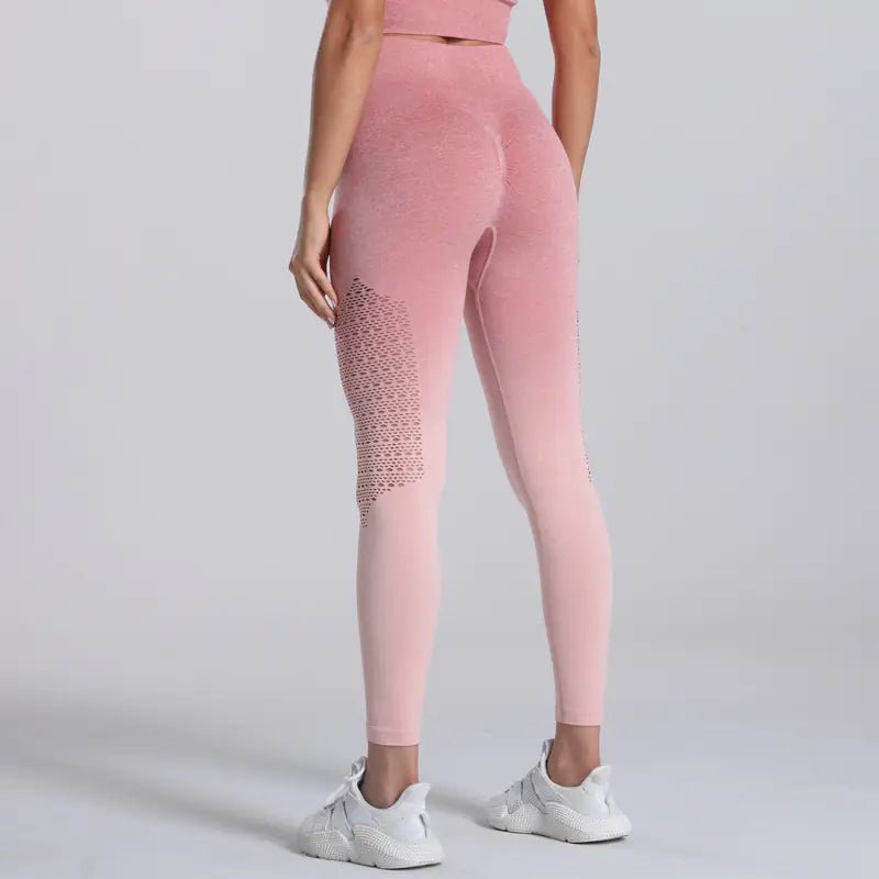 Seamless Quick - Drying High - Stretch Yoga Pants - Dakdouksson