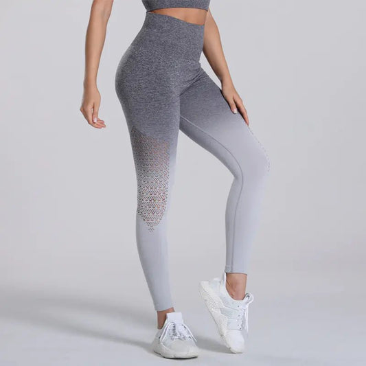 Seamless Quick - Drying High - Stretch Yoga Pants - Dakdouksson